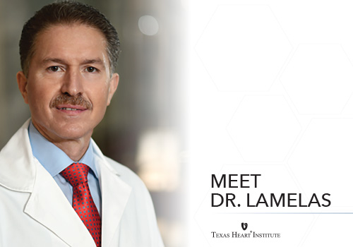 Dr. Joseph Lamelas Joins THI Professional Staff