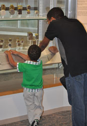 Kids of all ages can enjoy the museum exhibits.