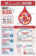 An Incredible Machine: What is Blood?