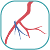Watch Vascular System Anatomy