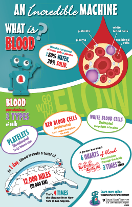 Infographic Anatomy Poster - Blood