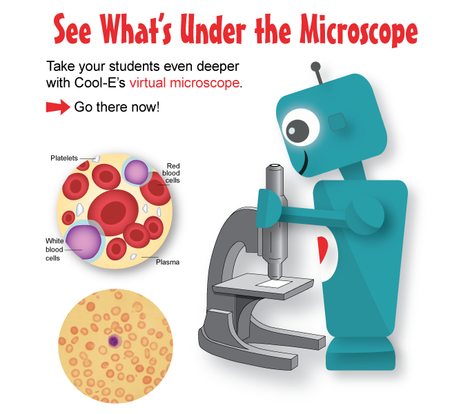 See what's under the microscope