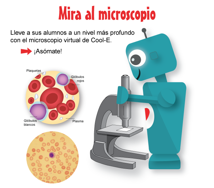 Mira al microscopio