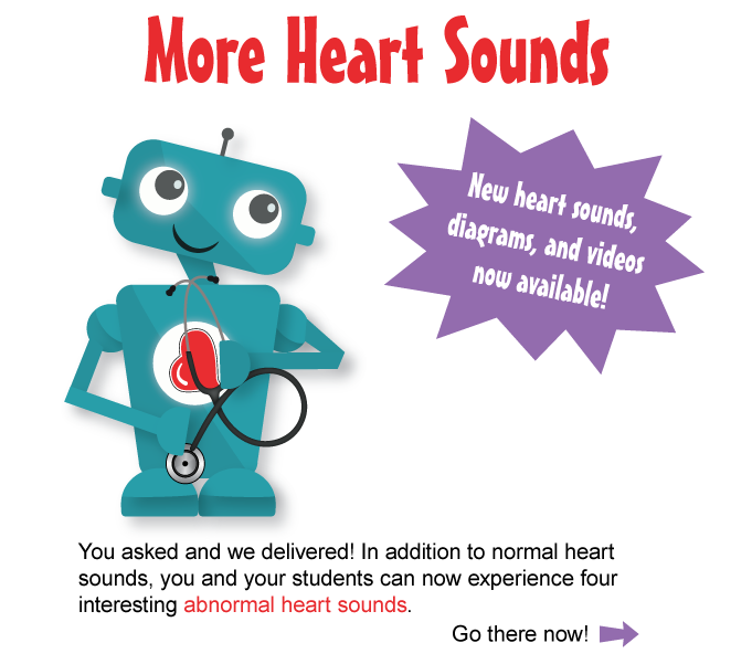 More heart sounds