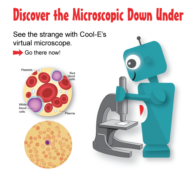 Discover the microscopic down under
